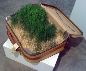 5_Sharma_Carry-On _26''x 42''_Mixed media Installation- $4000, 2010 jpeg 3